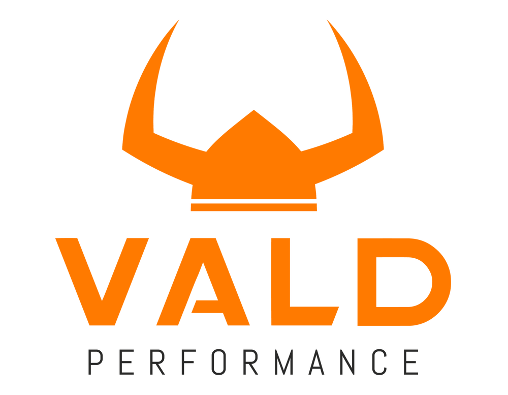 Vald-Performance-logo-OrangeGrey.png